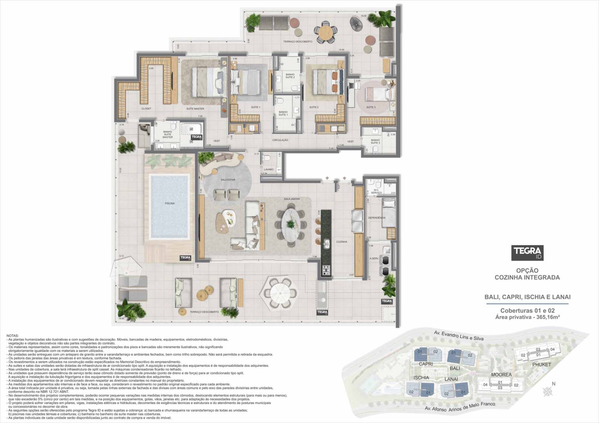 Planta 17